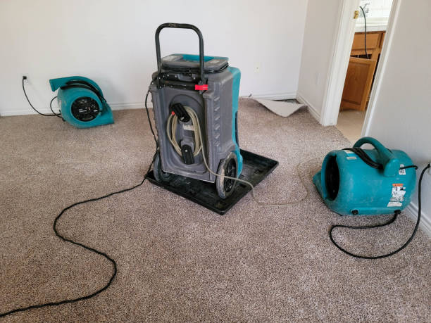 Best Basement water damage restoration  in Valparaiso, IN