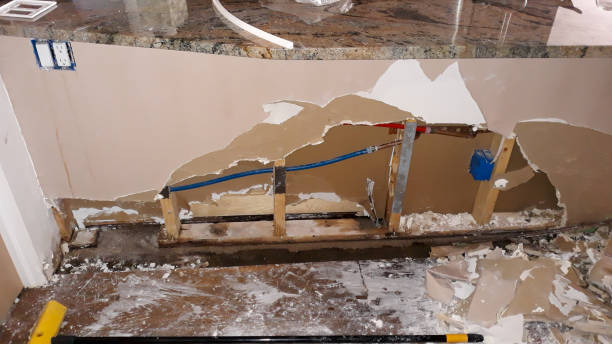 Best Ceiling water damage repair  in Valparaiso, IN