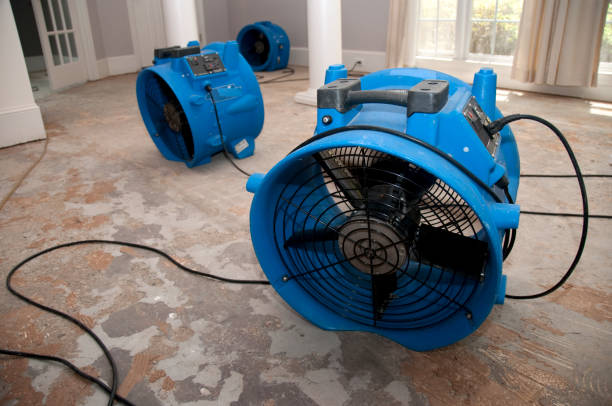 Best Basement water damage restoration  in Valparaiso, IN