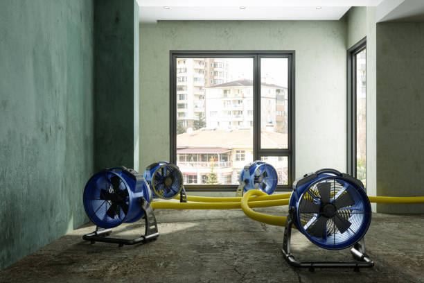 Best Local water damage restoration  in Valparaiso, IN